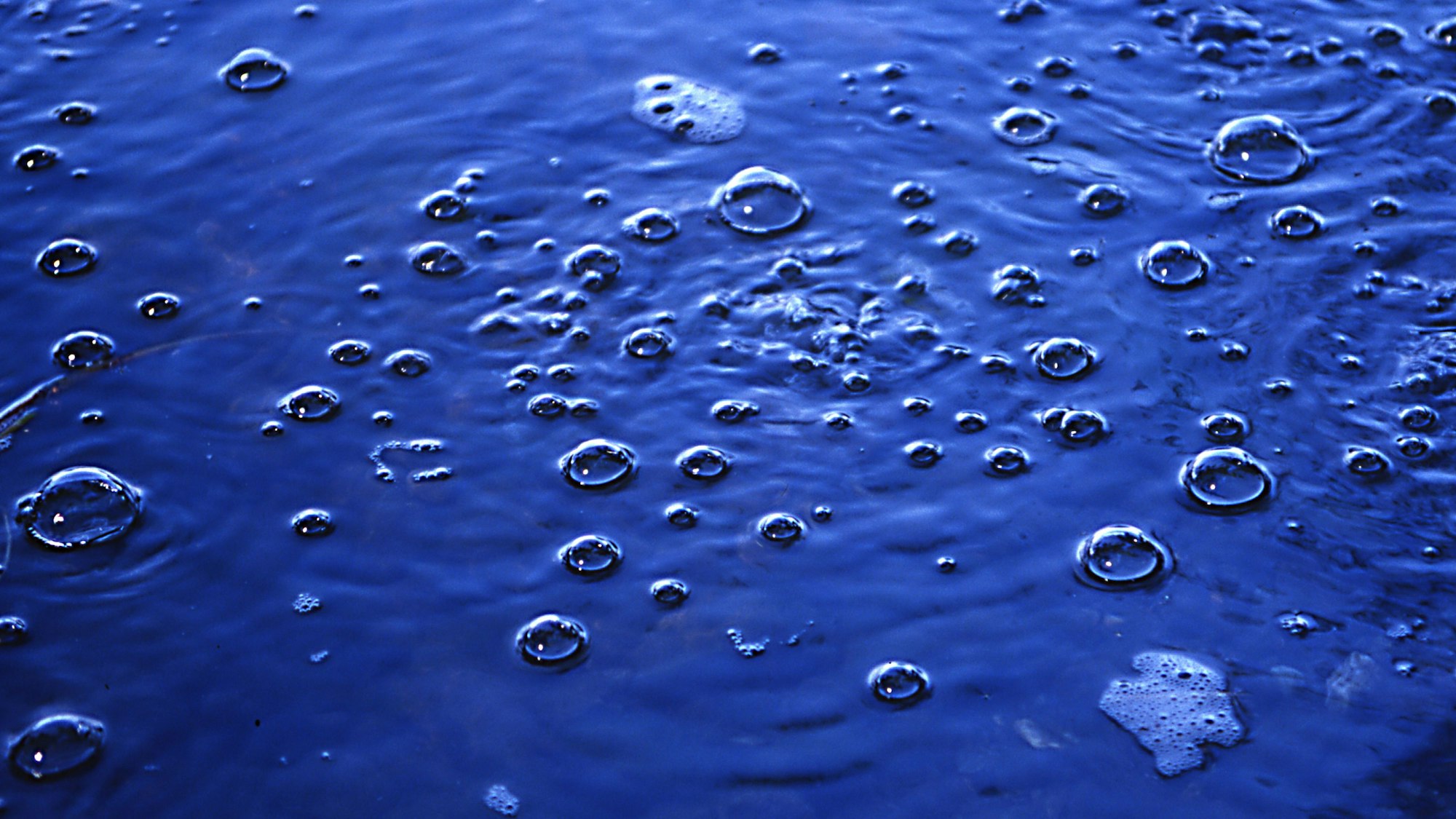 Eine Mofette am Laacher See. Gas steigt in Form von Luftblasen auf. Ein Phänomen, das in der Vulkaneifel zu beobachten ist.