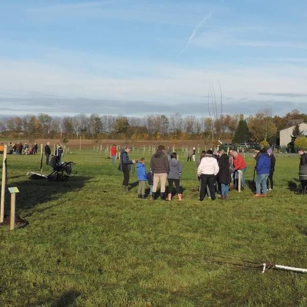 Die Storchenwiese in Grottenherten war voll, daher gibt es seit 2025 eine weitere in Rath.