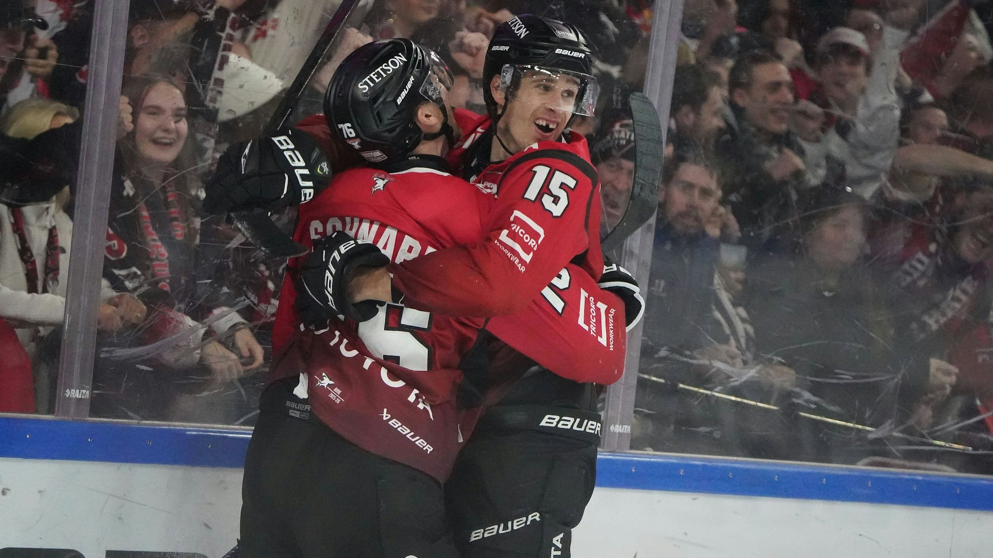 Können die Haie auch gegen die Eisbären jubeln?