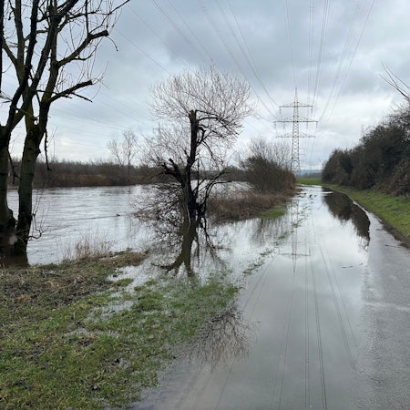 Der Uferweg entlang der Sieg zwischen Buisdorf und Meindorf auf Sankt Augustiner Seite ist derzeit überschwemmt.