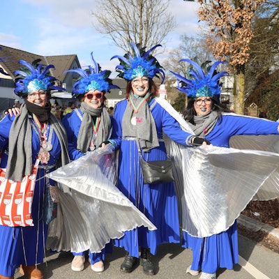 Eine Gruppe bei einem Karnevalszug.