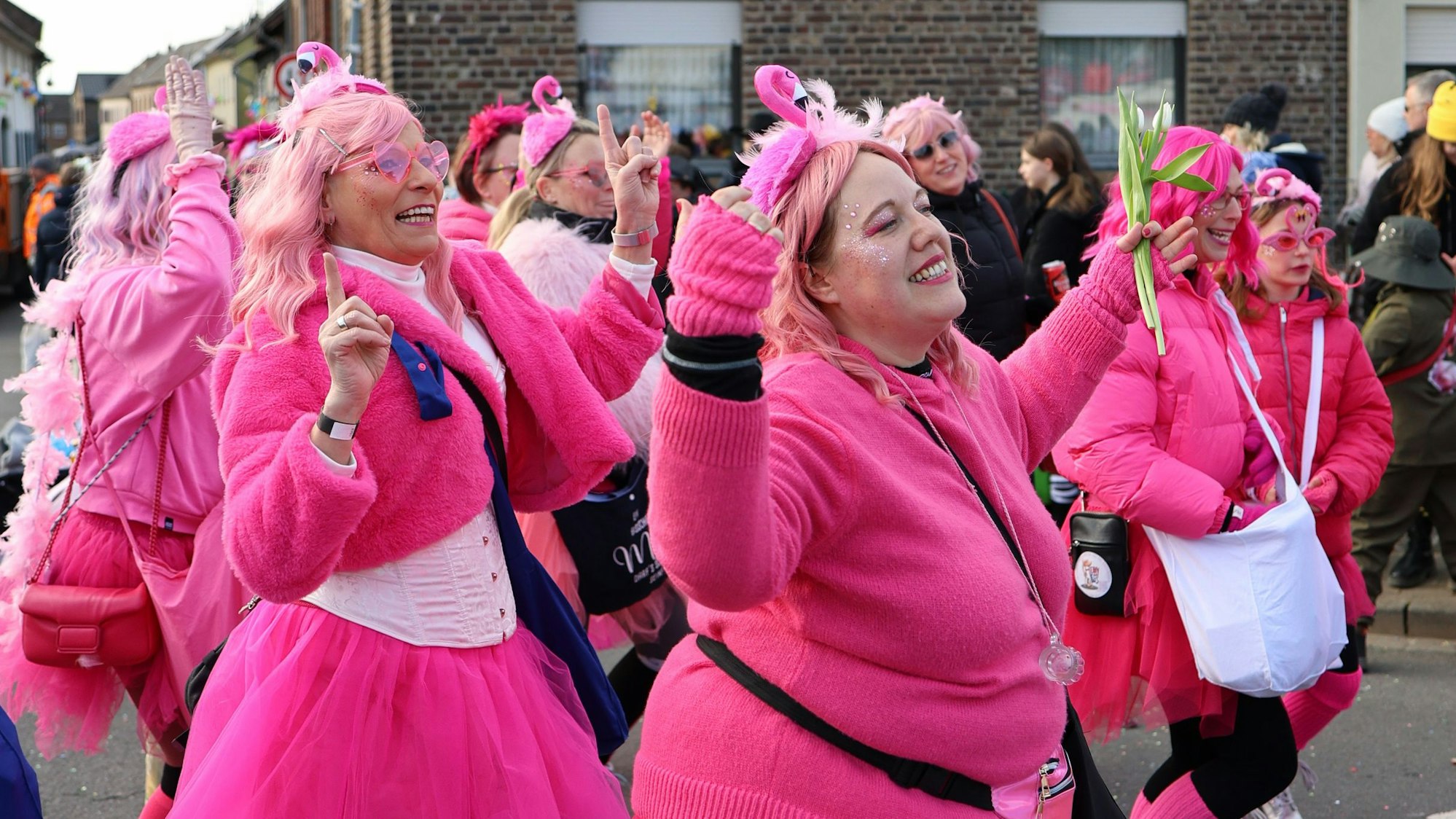 Wer tanzt so schön wie die Flamingos im Karneval? Nur die Heavy Legs der KG Nubbel