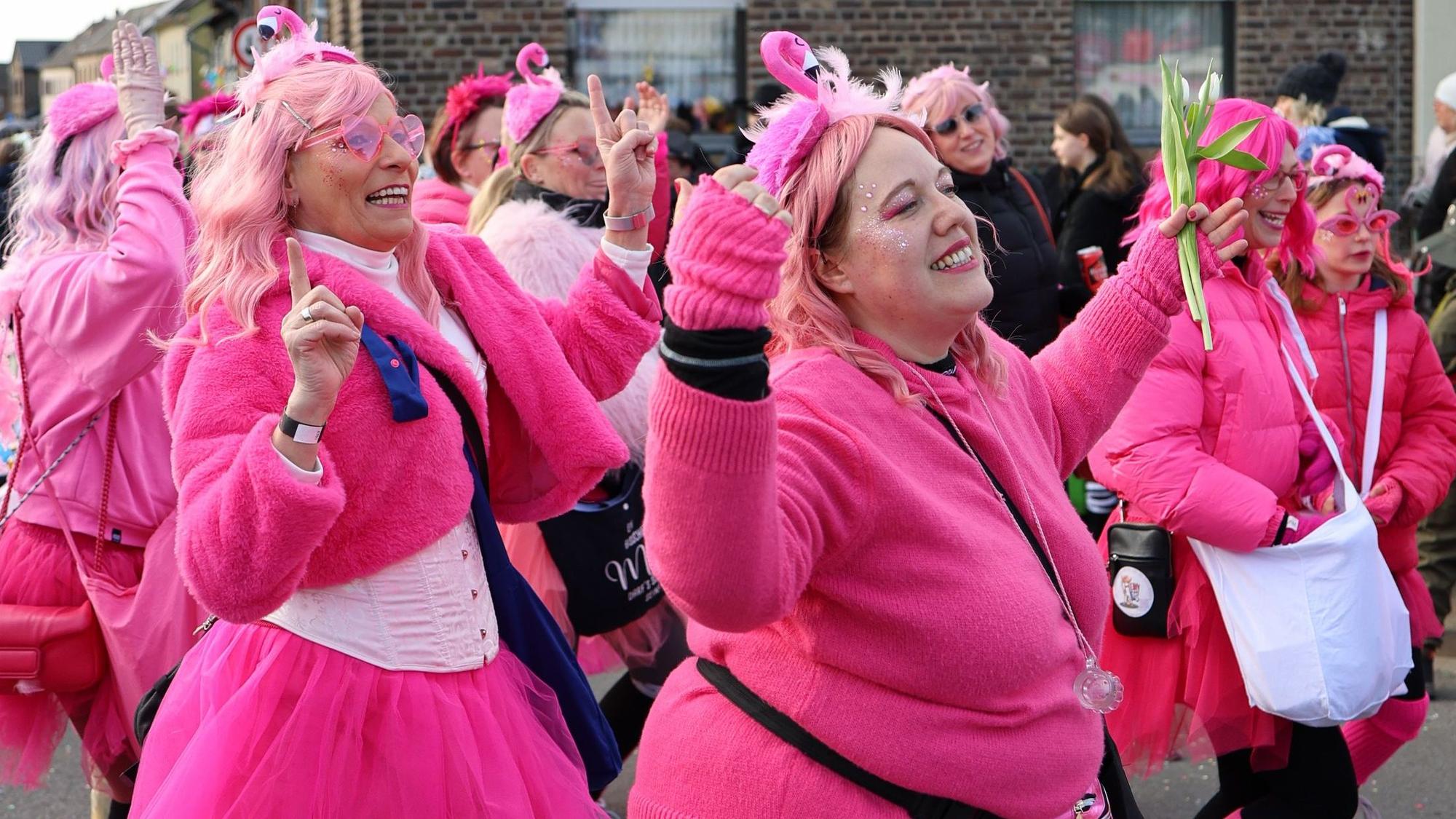 Wer tanzt so schön wie die Flamingos im Karneval? Nur die Heavy Legs der KG Nubbel