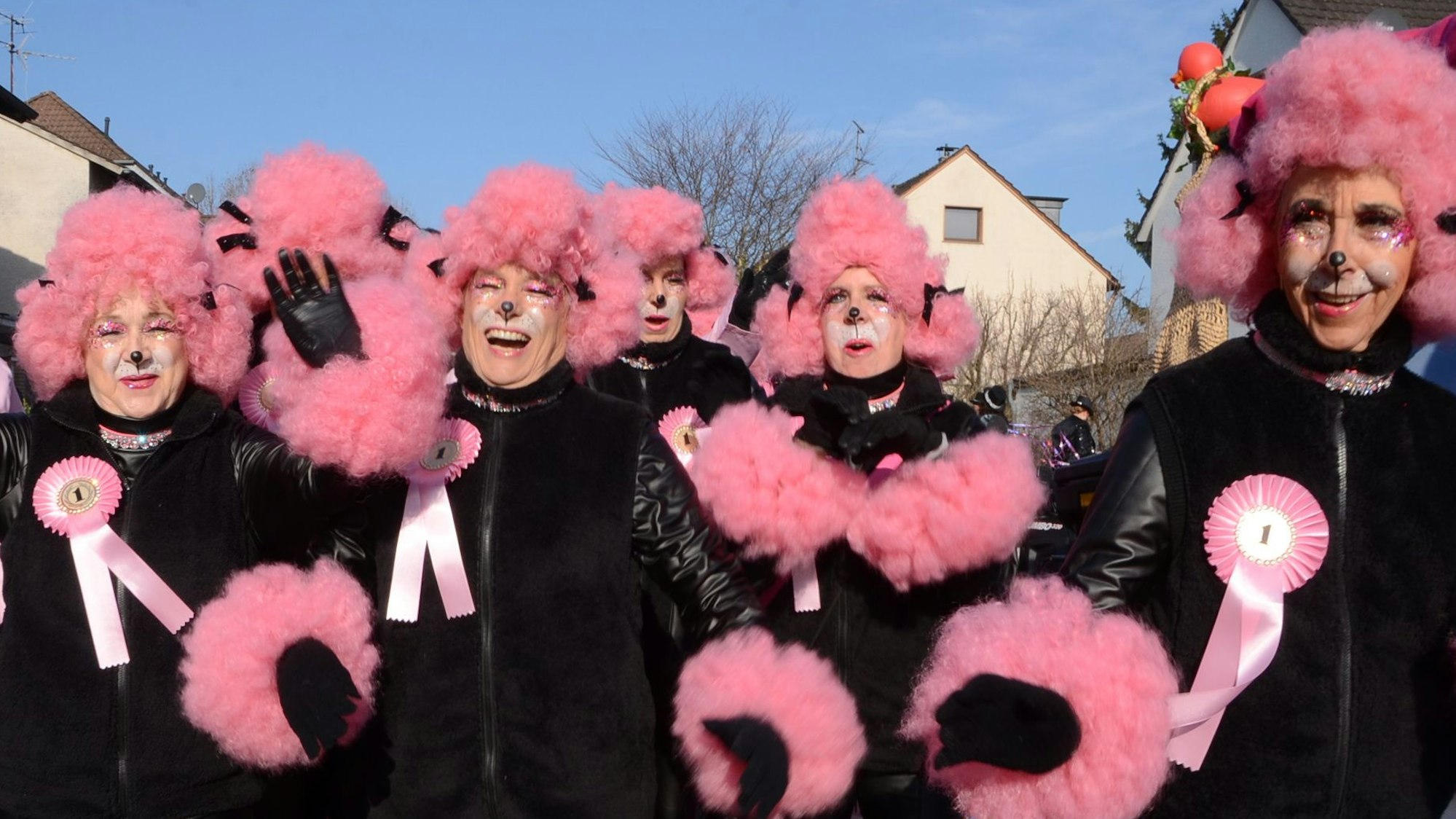 Karnevalszug in Rheidt 2026