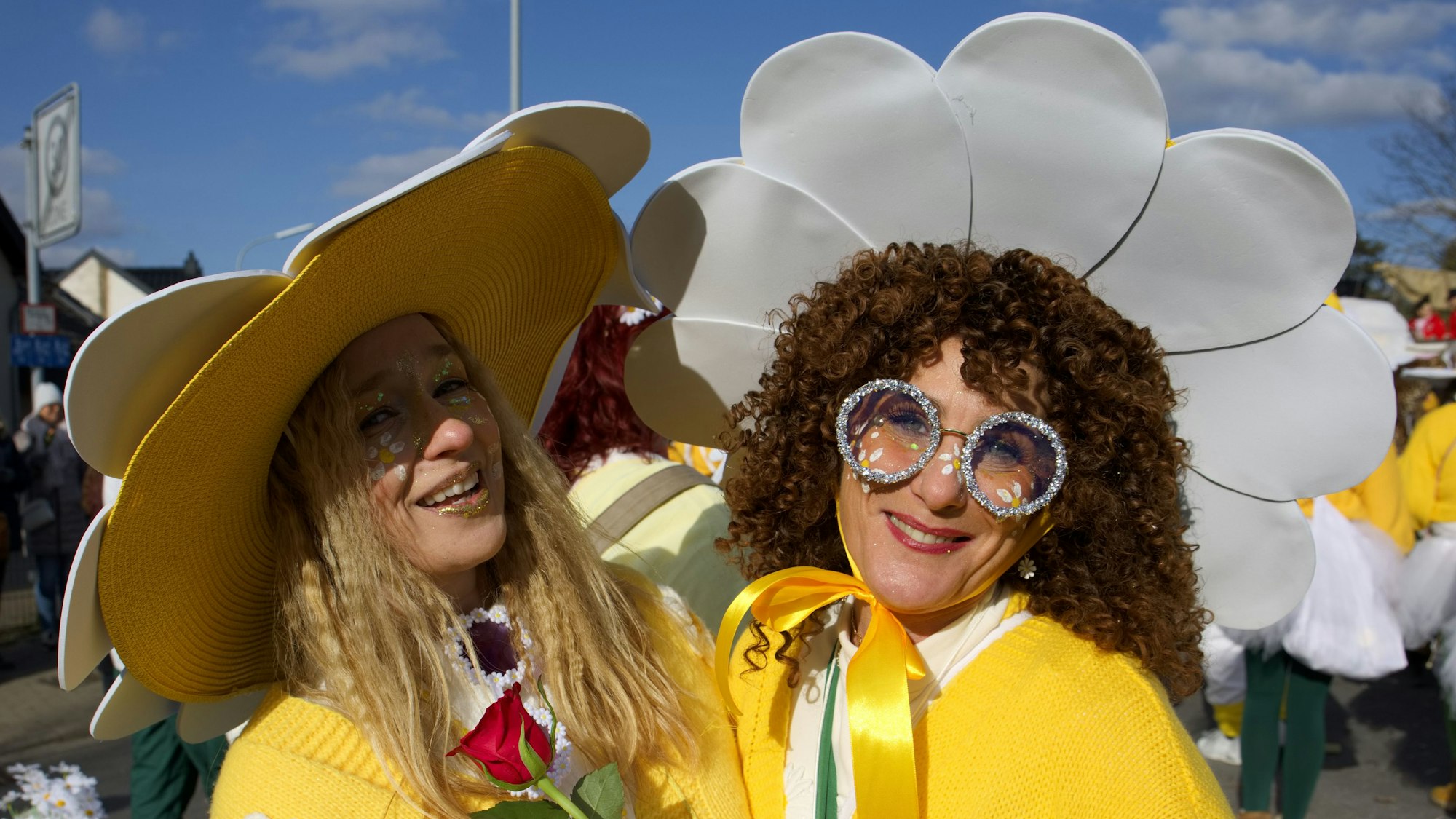 Die Kreativität hinter den Kostümen war beeindruckend im Büllesheimer Karnevalszug