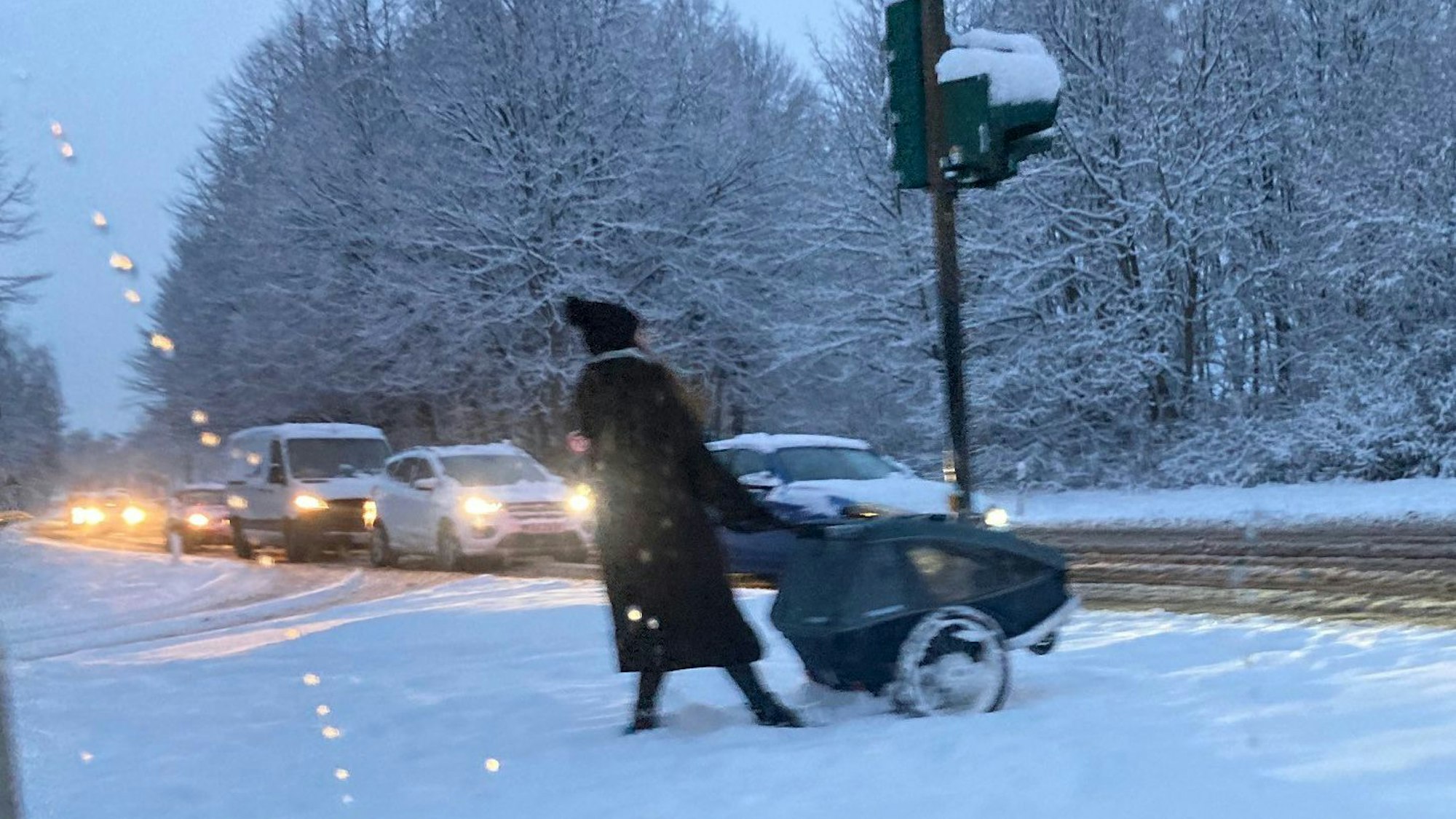 Ein kurzes Gastspiel gab der Winter am Tulpensonntag.