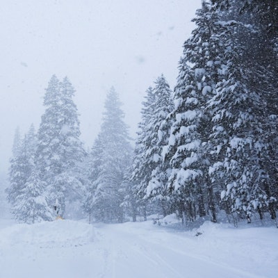 In Kalifornien ist viel Schnee gefallen.