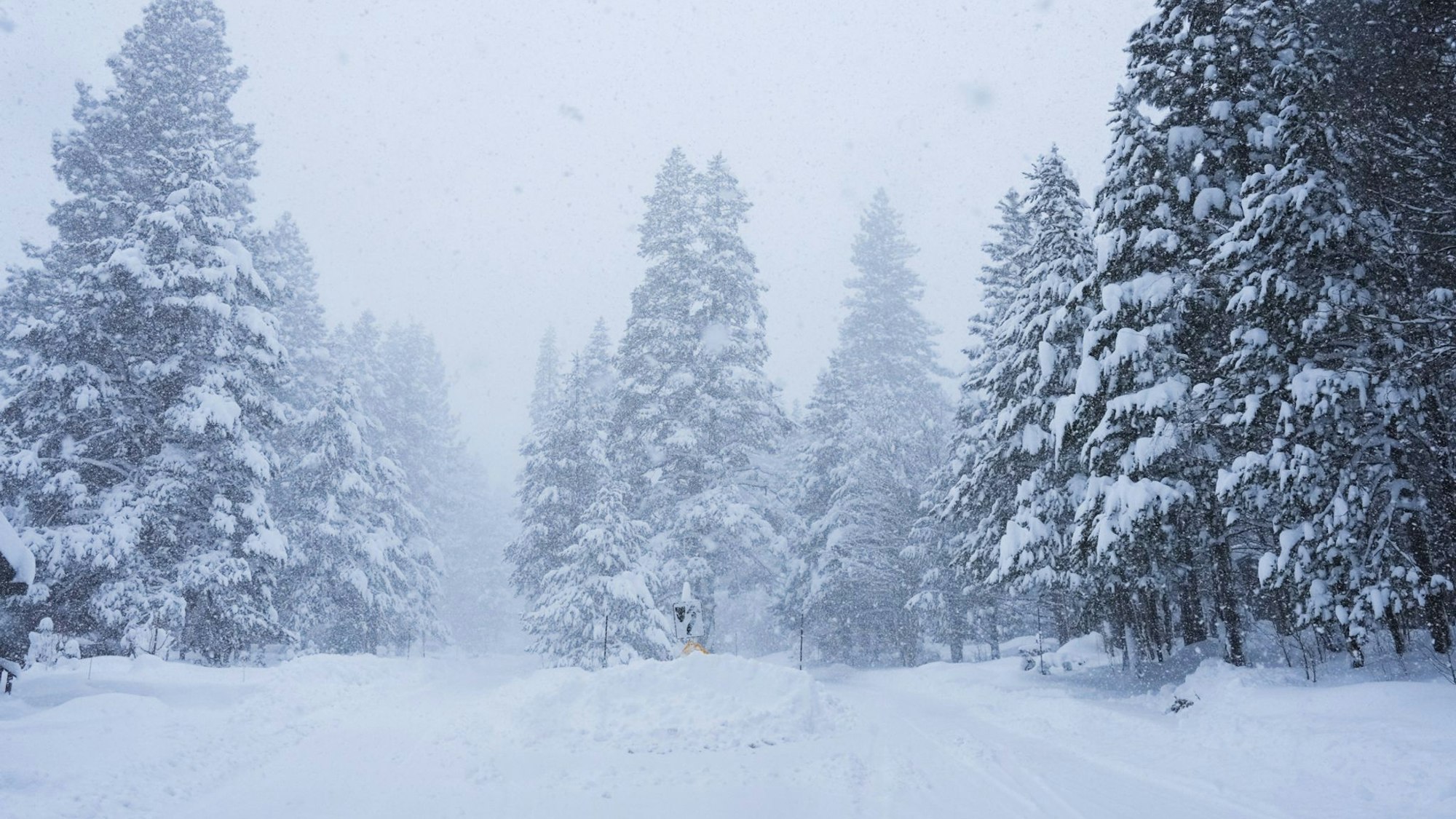 In Kalifornien ist viel Schnee gefallen.