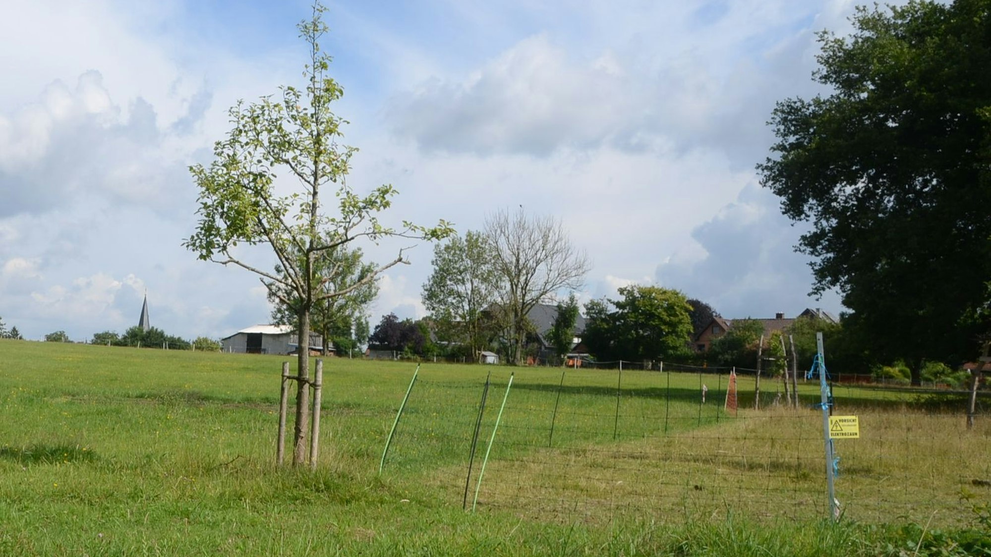 Am Ortsrand von Altenrath sollte die Mehrzweckhalle entstehen. Vielleicht, so fürchtet Martin Zündorf vom TuS Altenrath, wird das Grundstück auch "die teuerste Streuobstwiese in Troisdorf"