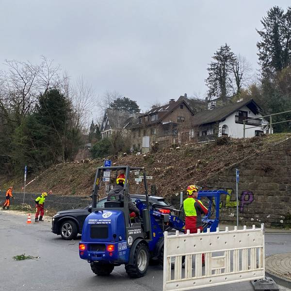 Eine Bahnunterführung, davor eine blaue Baumaschine und drei Arbeiter in roten Overalls. Der Hang neben der Unterführung ist gerodet, dort stehen nur noch Baumstümpfe.