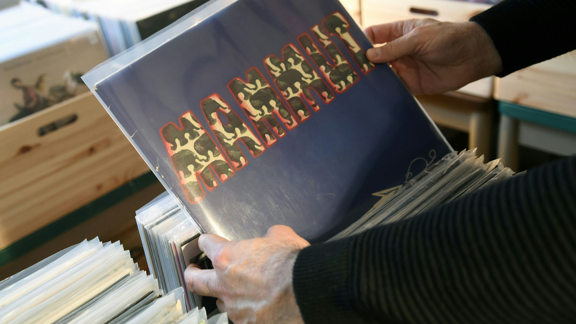 Das Projektalbum „Mammut“ von 1971 ist derzeit das seltenste und auch teuerste Stück im Sortiment von „Klangraum 331/3“ in Waldbröl.