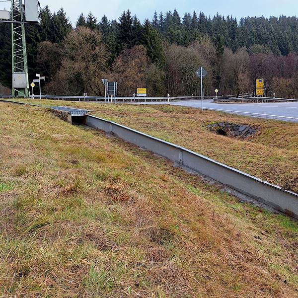 Ein Leitsystem mit Metallplanken und Tunneln, durch das Amphibien sicher eine Landstraße unterqueren können, ist in der Nähe des Kronenburger Sees installiert.