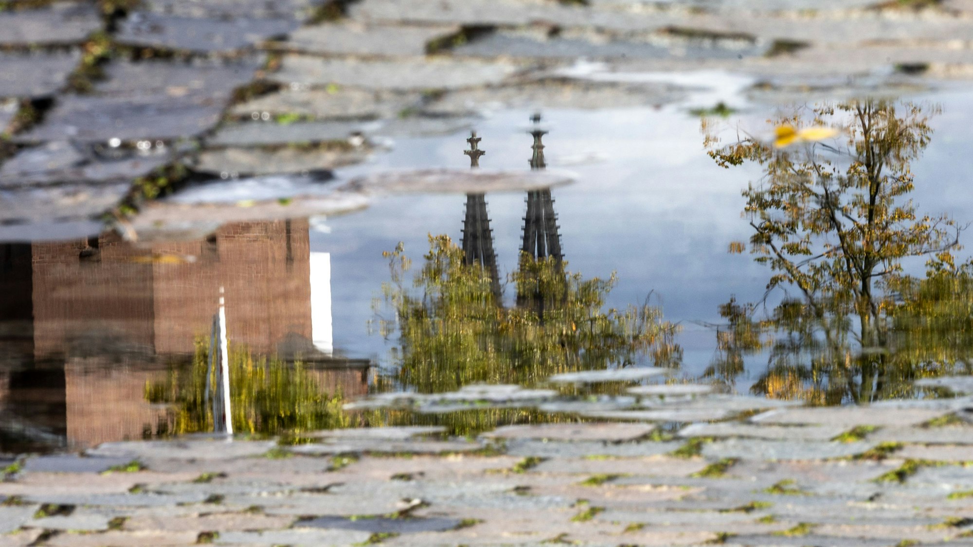 In einer Pfütze am Schokoladenmuseum spiegelt sich der Kölner Dom.