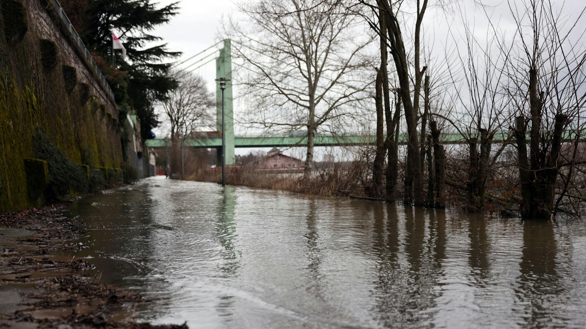 Überschwemmt ist der Uferweg am Leinpfad in Köln-Rodenkirchen.