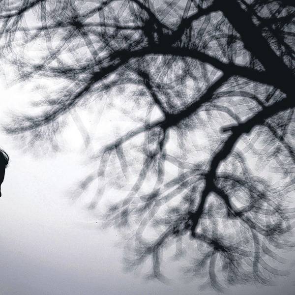 Die Silhouette einer Frau vor der Silhouette eines blattlosen Baums.