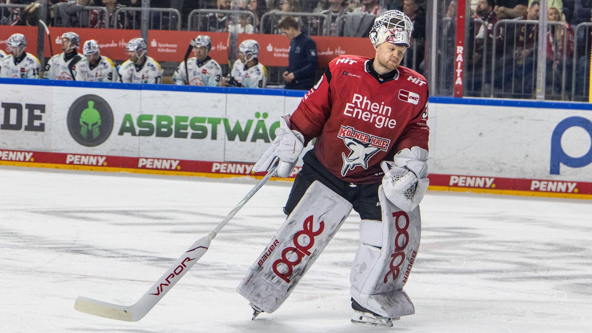 Janne Juvonen hütet wohl auch in der nächsten Saison das Tor der Kölner Haie.