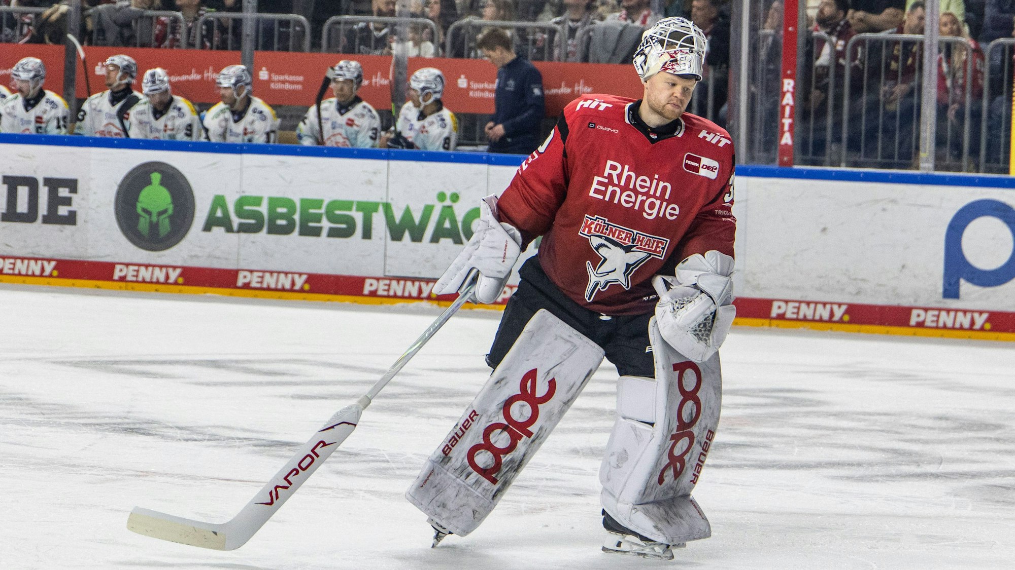 Janne Juvonen hütet wohl auch in der nächsten Saison das Tor der Kölner Haie.