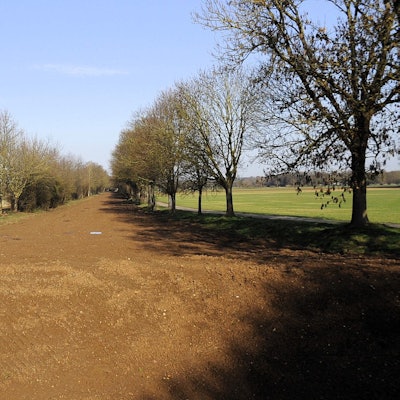 Zu sehen ist ein zugeschütteter ehemaliger Kanal.