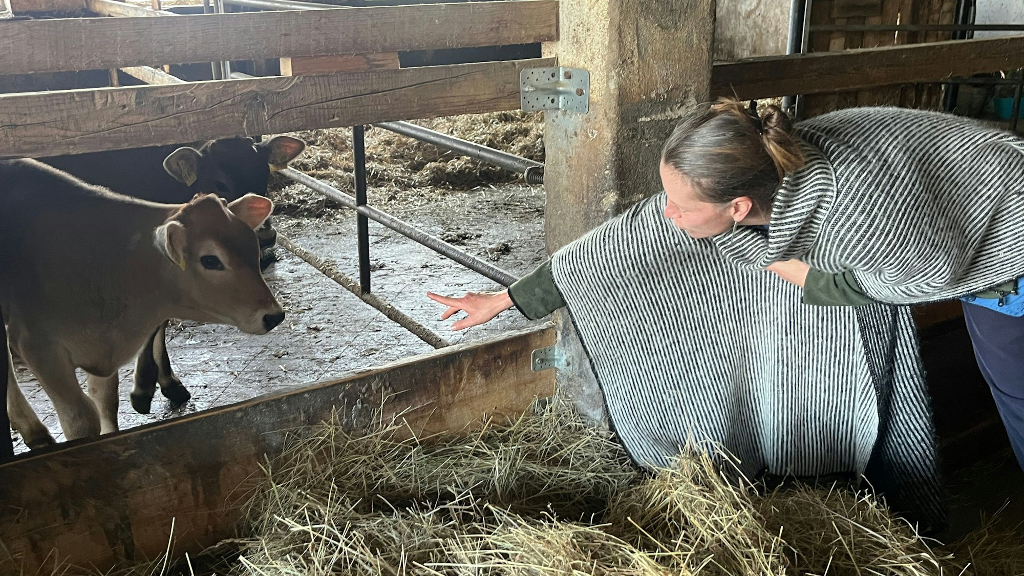 Landwirtin Anja Henckel aus Portugal begleitete die indische Delegation und war fasziniert von den Kälbern.