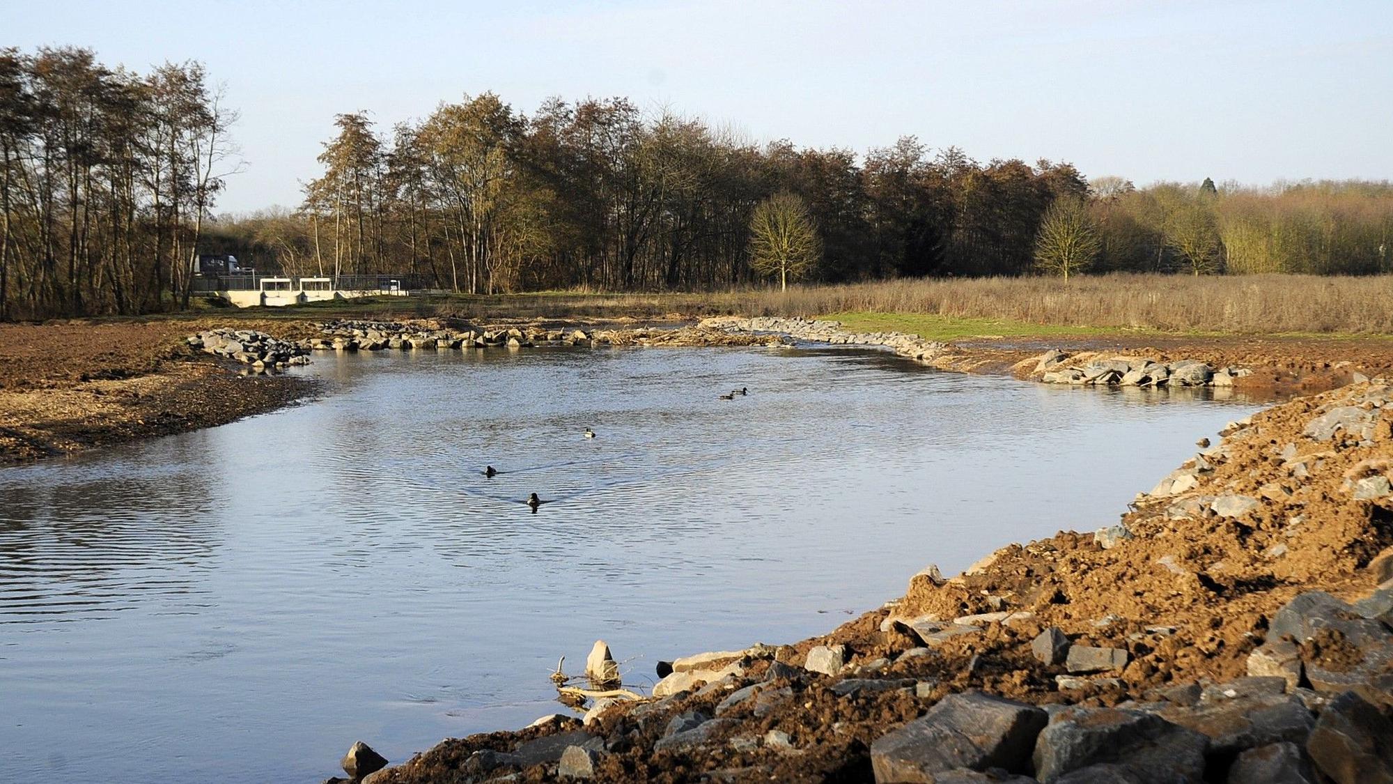Zu sehen ist ein Fluss mit Ufer und Bäumen im Hintergrund.