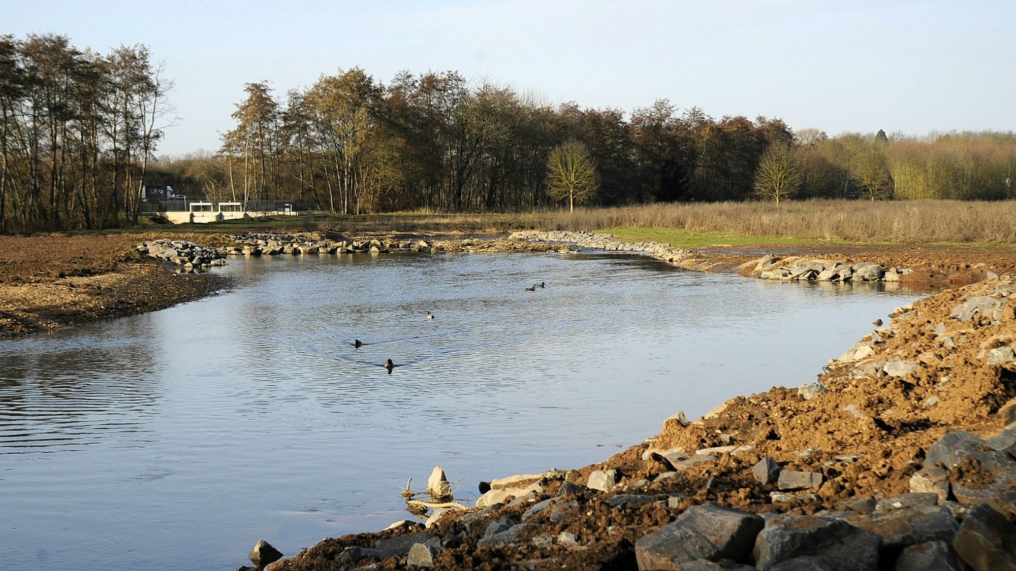 Zu sehen ist ein Fluss mit Ufer und Bäumen im Hintergrund.