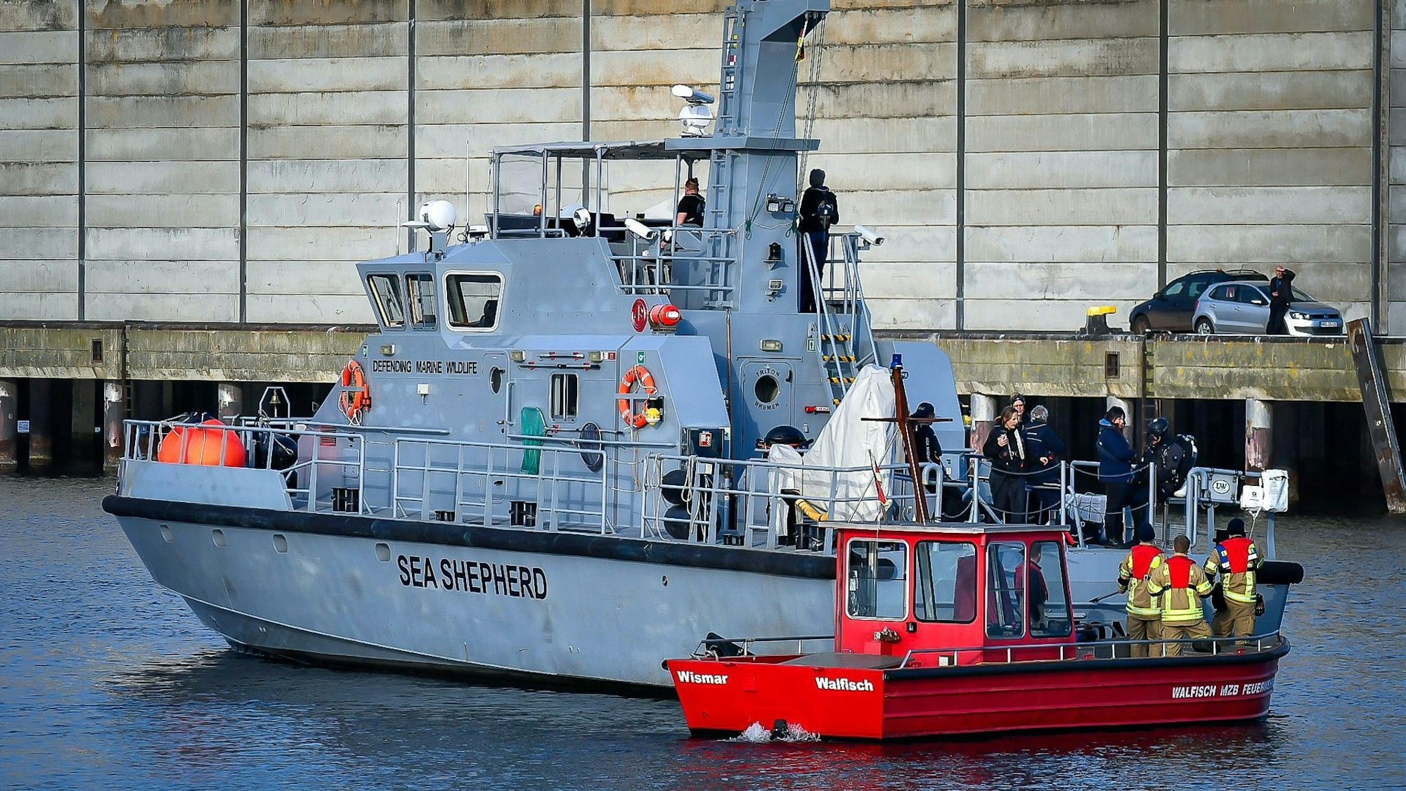 Die Meeresschutz-Organisation Sea Shepherd fuhr mit einem Schiff zu dem Wal.
