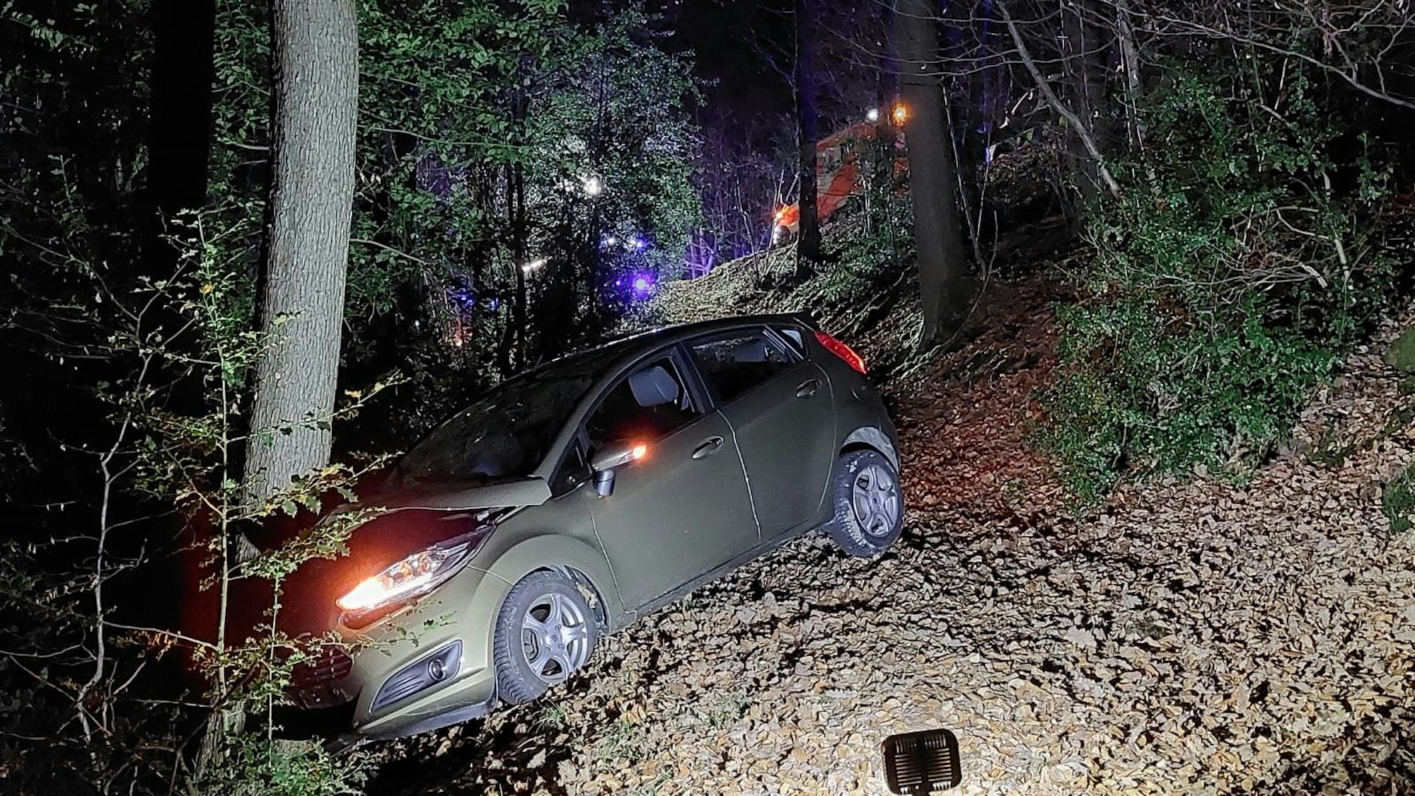 Der Ford Fiesta war auf den Waldweg geraten und gegen einen Baum geprallt.