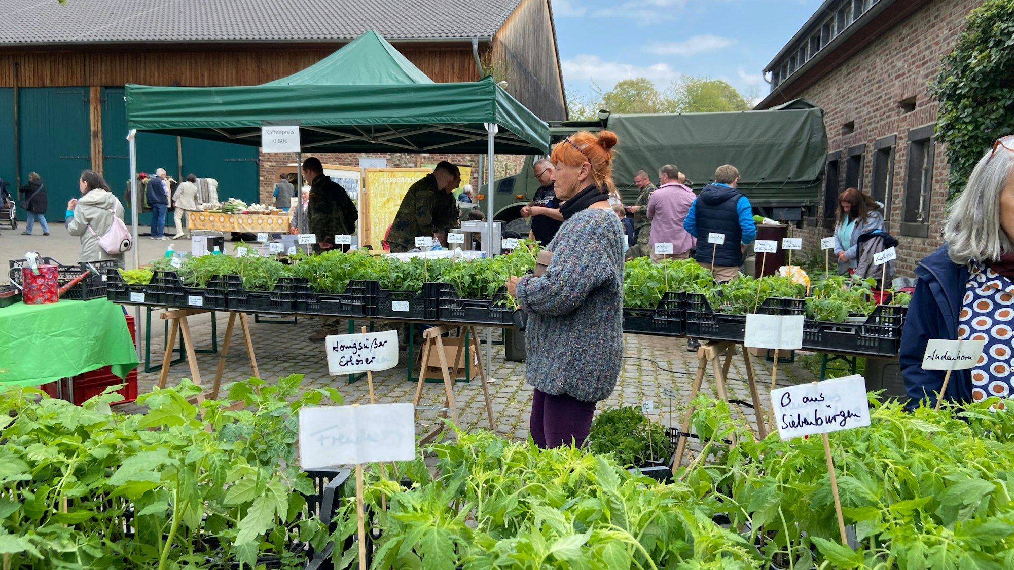 Verschiedene Kräuter stehen zum Verkauf im Hof eines Gutshofs.