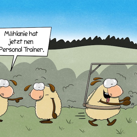 Drei Schafe stehen auf einer Wiese. Ein Schaf hat ein Holzgestell um den Bauch mit verlängertem Arm, an dem eine Möhre hängt, die vor dem Gesicht des Schafs baumelt. Allerdings unerreichbar. Die anderen Schafe beobachten die Szene, eins sagt: „Mählanie hat jetzt nen Personal Trainer.“