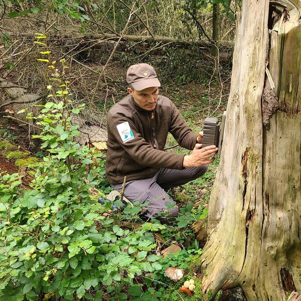 Ein Forscher installiert ein Gerät an einem Baumstamm.