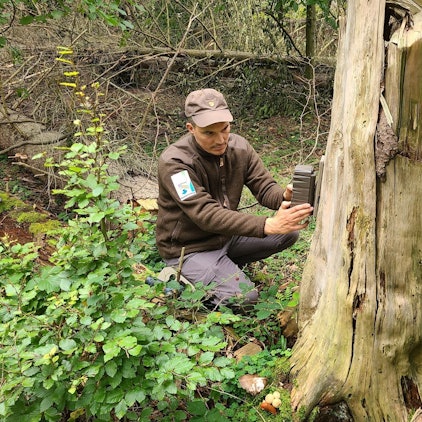 Ein Forscher installiert ein Gerät an einem Baumstamm.