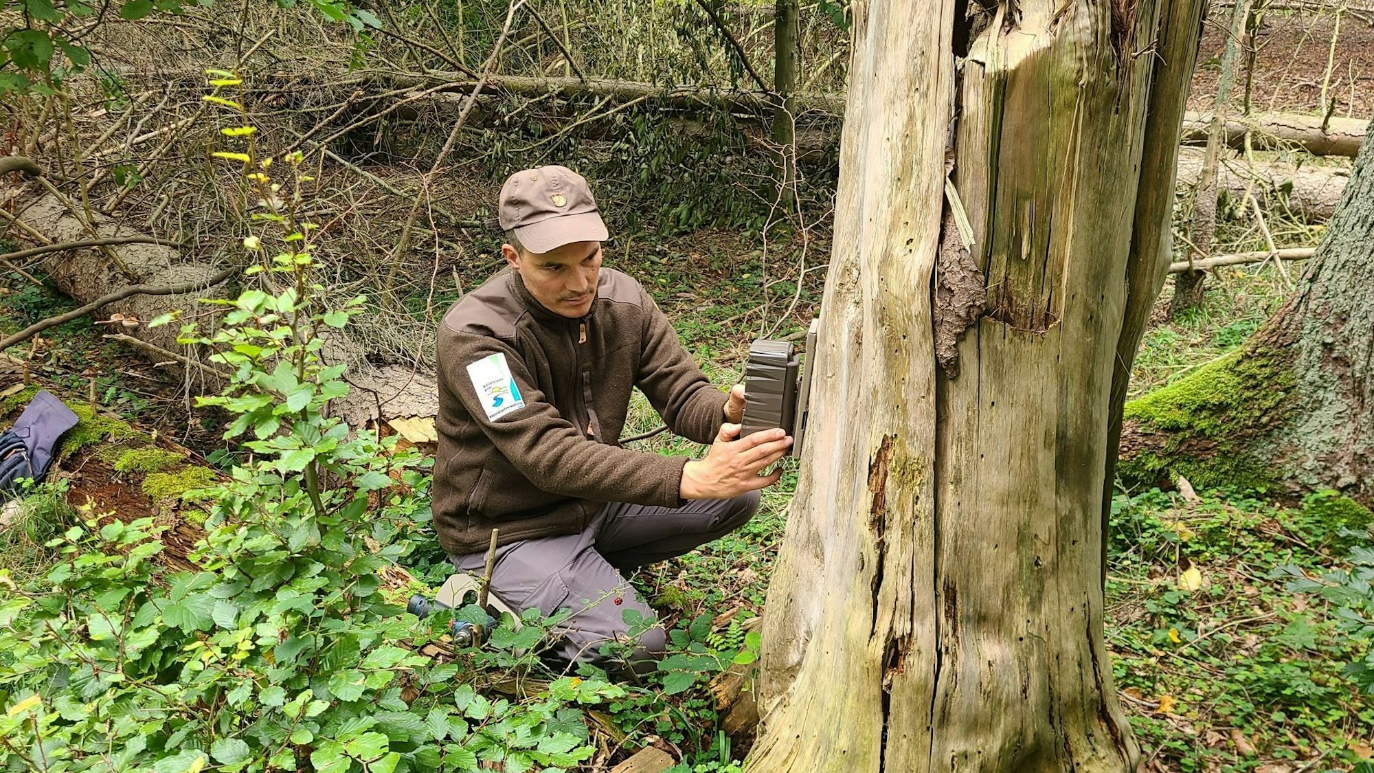 Ein Forscher installiert ein Gerät an einem Baumstamm.
