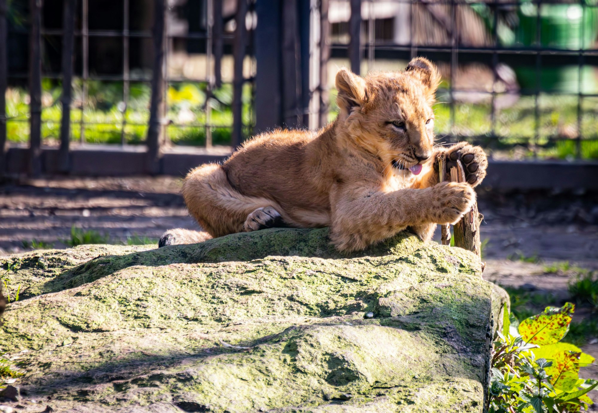 So spannend ist die Welt!