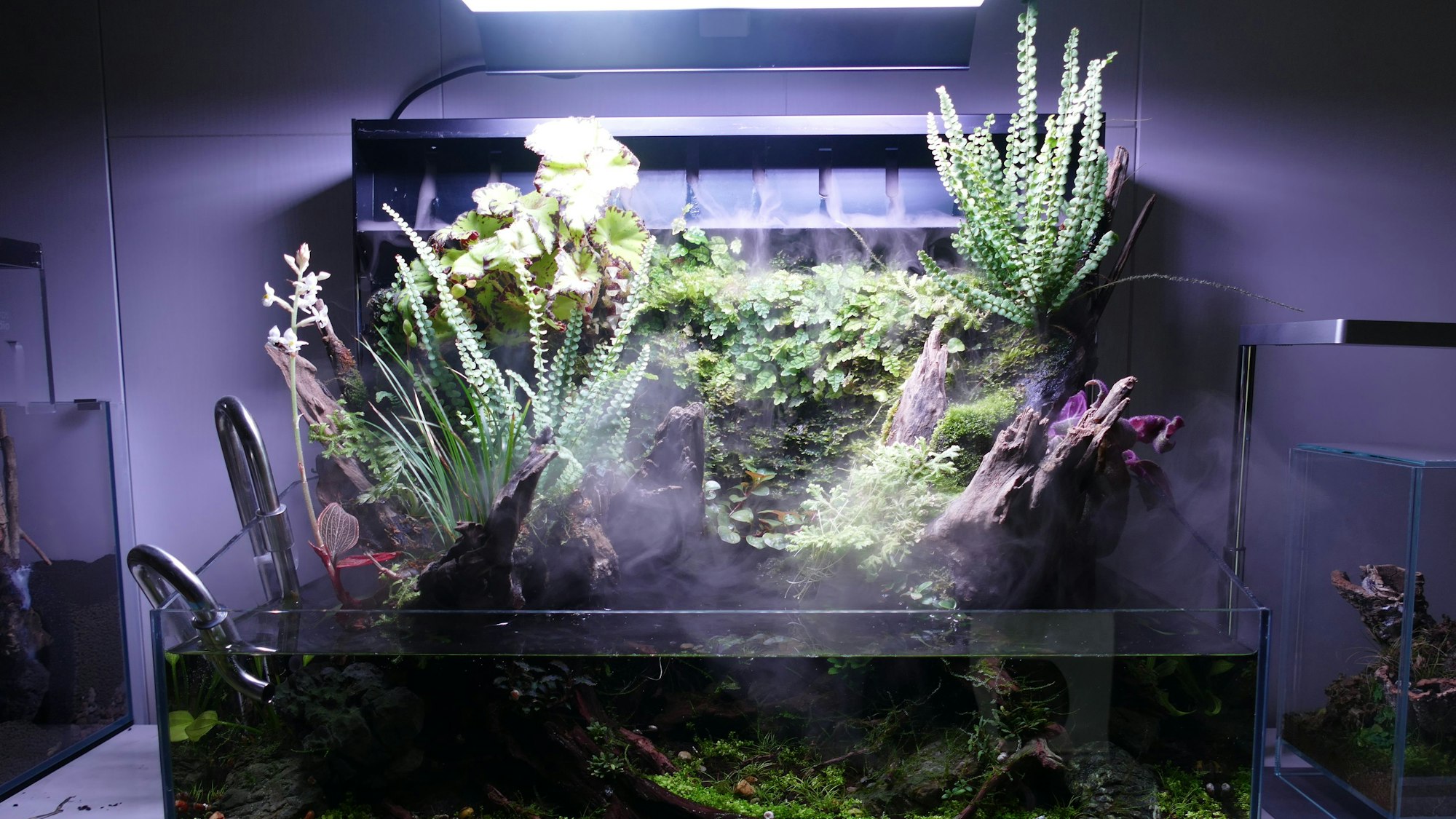 Blick auf das Aquarium.