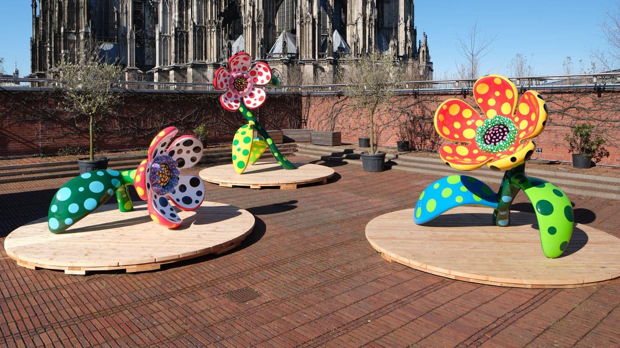 Museum Ludwig Köln, ML - Yayoi Kusama , 14. März – 2. August 2026