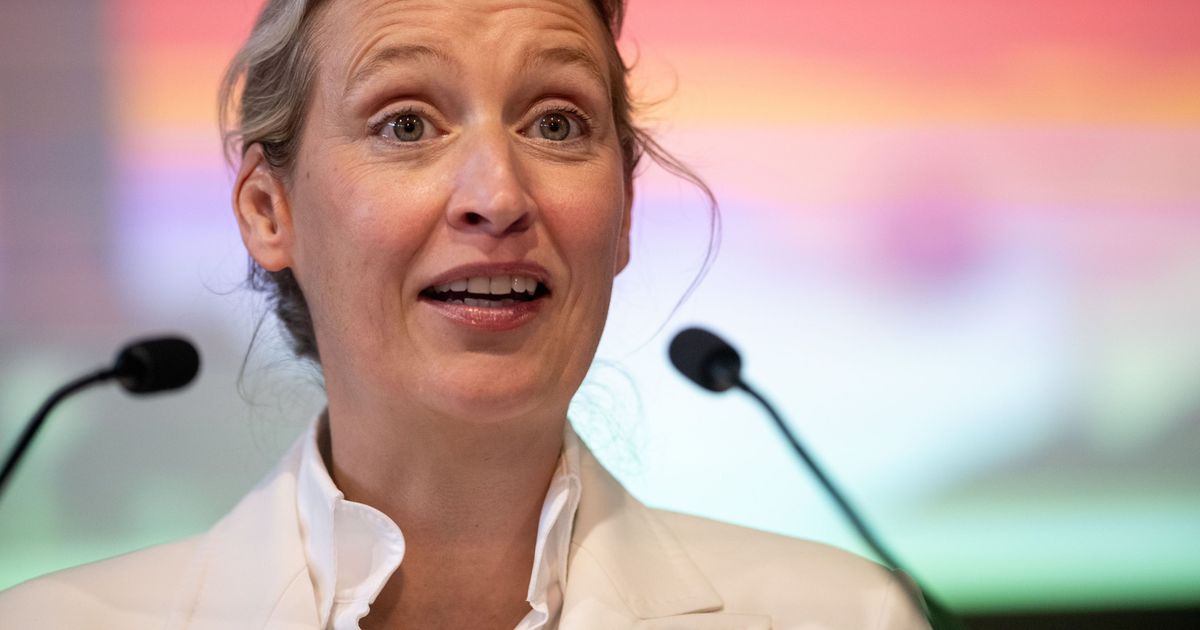 Alice Weidel nutzt AfD-Parteitag in NRW für Attacke – Proteste in Marl - Rundschau Online