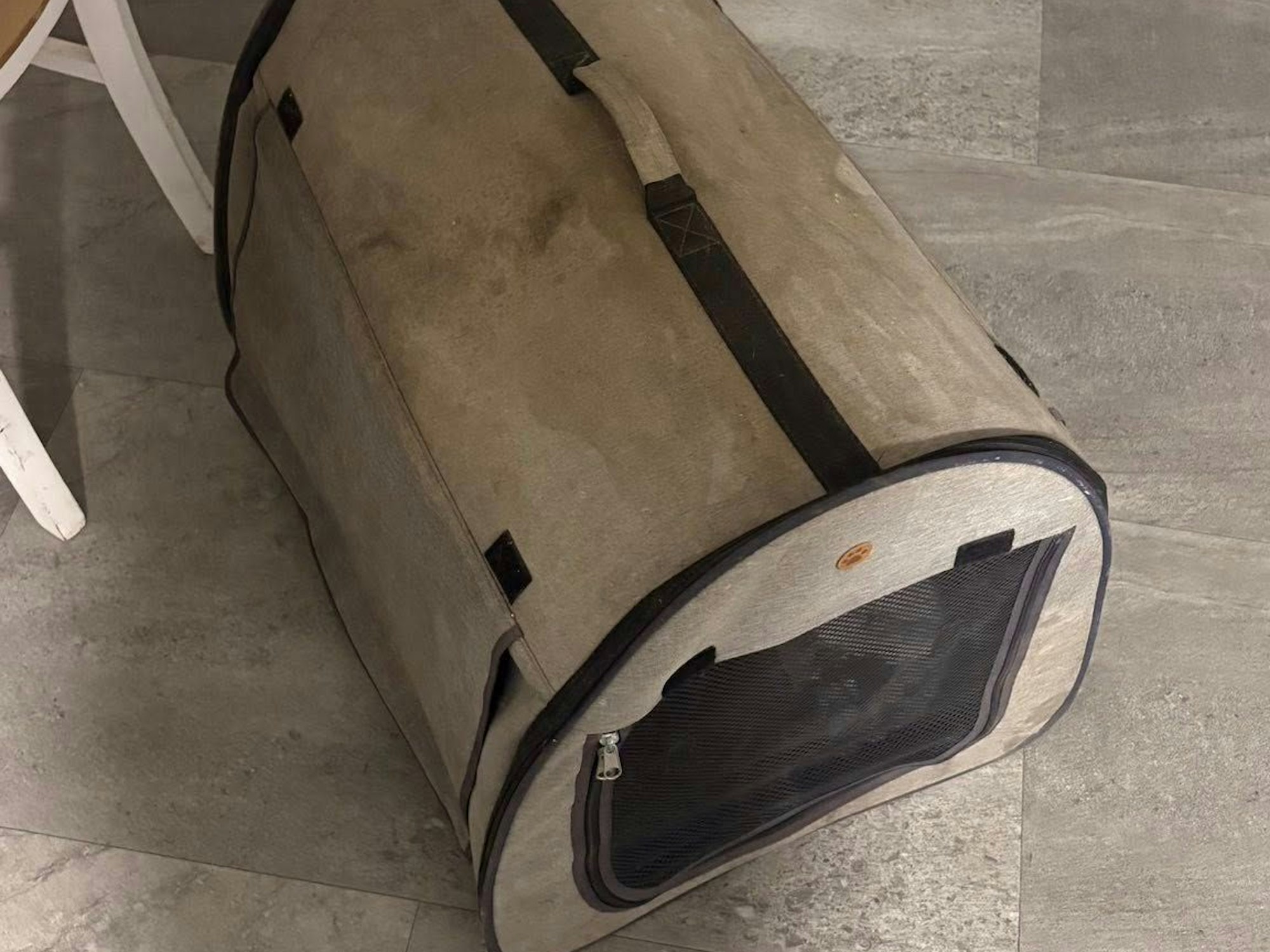 Das Bild zeigt die Transporttasche, mit der die Katzen ausgesetzt wurden.