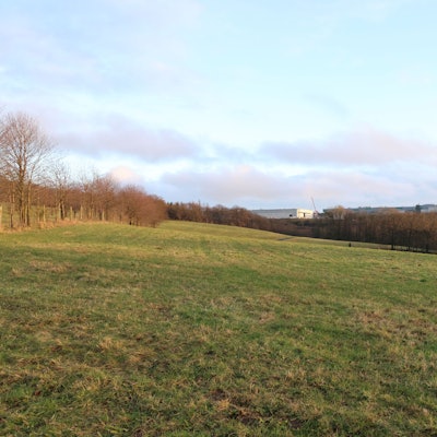 Blick von der Ortschaft Niederasbach in der Gemeinde Morsbach aus in Richtung Lichtenberg und auf eine der Wiesen, die der geplante Solarpark Asbachtal III abdecken soll.