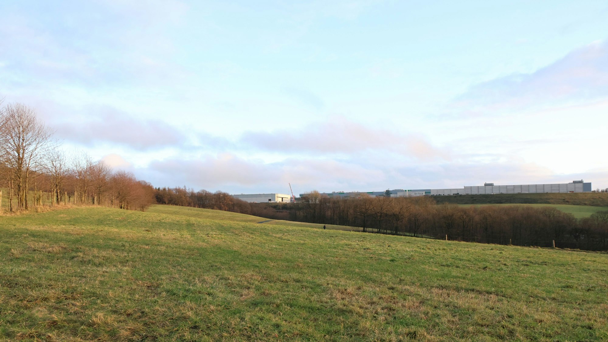 Blick von der Ortschaft Niederasbach in der Gemeinde Morsbach aus in Richtung Lichtenberg und auf eine der Wiesen, die der geplante Solarpark Asbachtal III abdecken soll.