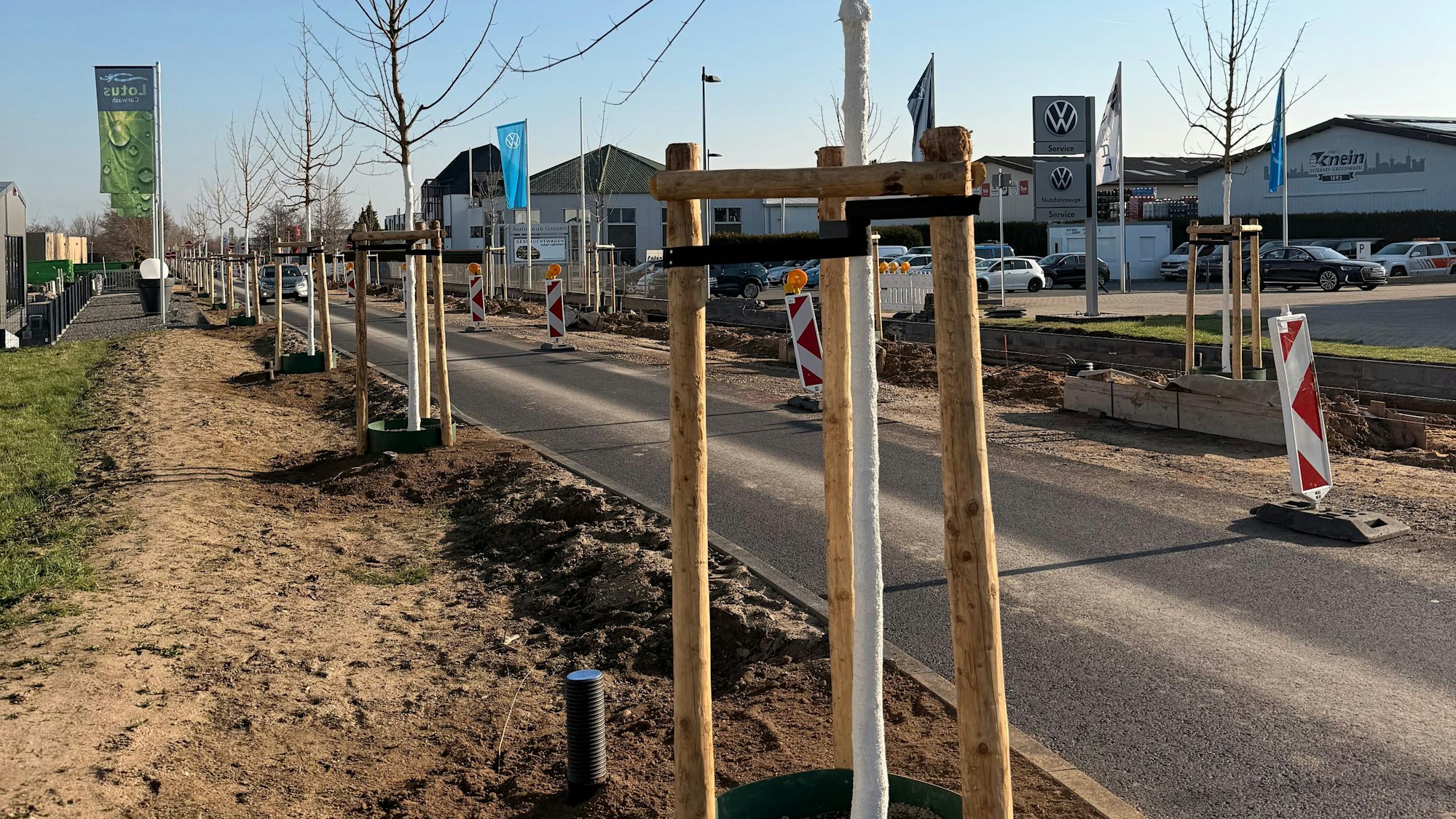 Frischgepflanzte Bäume säumen eine Straße, an der gebaut wird.