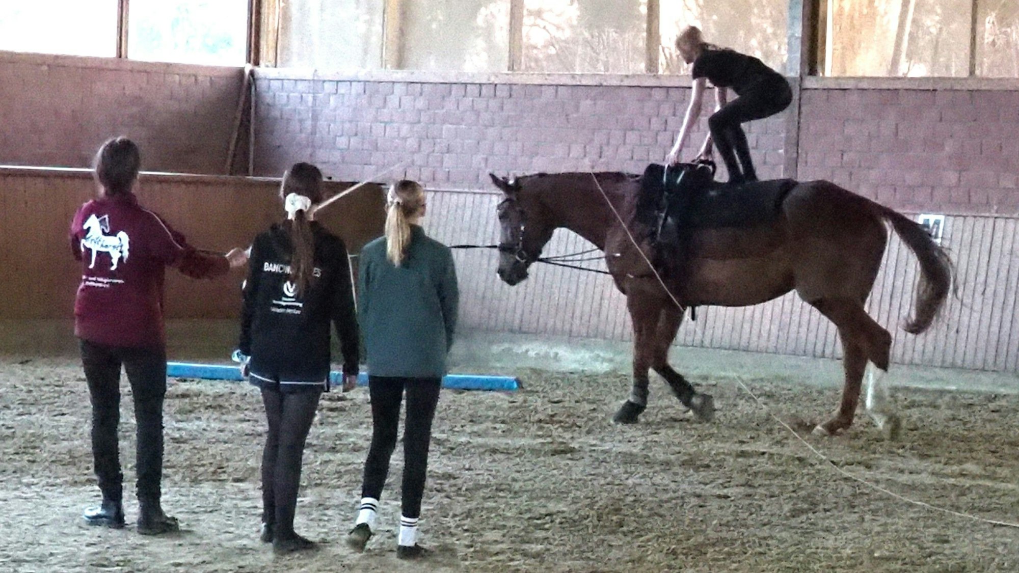 Ein Mädchen seht leicht gehockt auf dem Rücken eines Pferdes. Im Vordergrund sind die Longenführerin und zwei Mädchen von hinten zu sehen.