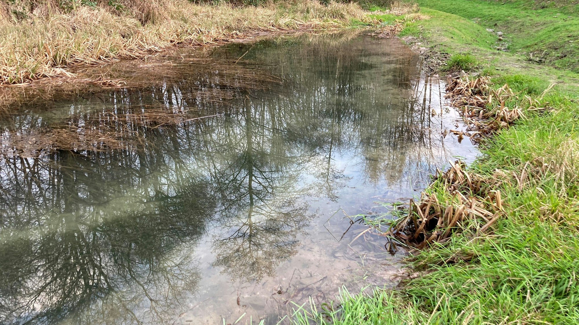 Ein Bild aus besseren Tagen: Der im Jahr 2020 in Waldbröl-Hermesdorf angelegte Laichweiher ist mi Wasser bestens gefüllt. Heute aber hält er nicht mehr dicht.