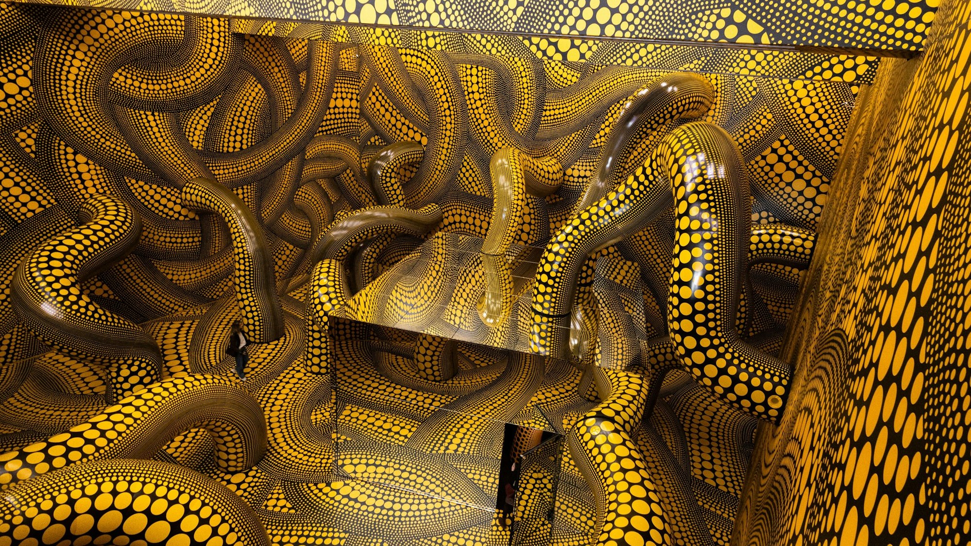 Yayoi Kusamas Infinity Room im Museum Ludwig