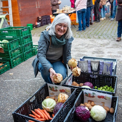Aggi Peier kniet an Erntekisten und verteilt Sellerie.