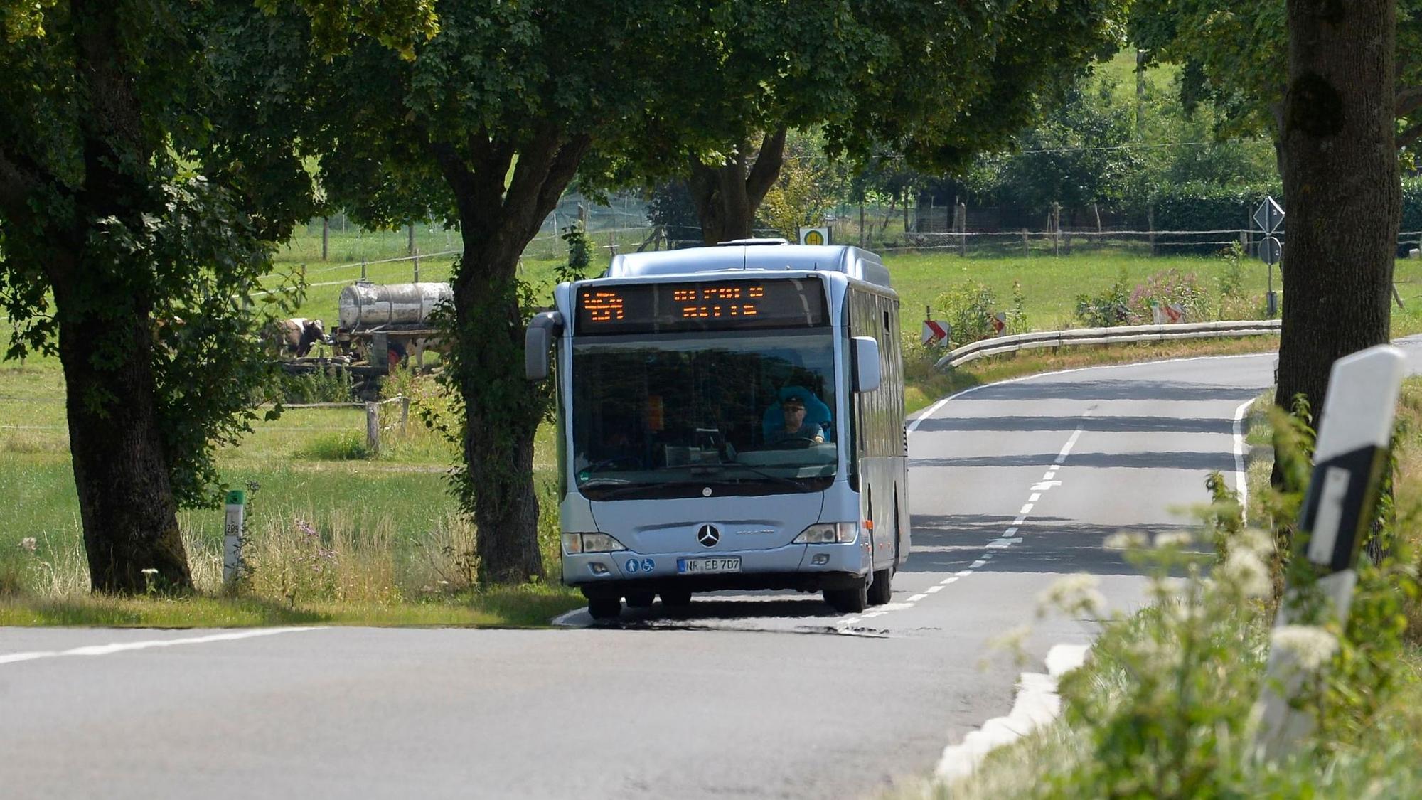 Ein Bus fährt durch die Allee zwischen Herkenrath und Spitze.