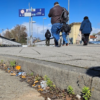 Zu sehen sind zahllose Zigarettenkippen neben einem Bordstein.