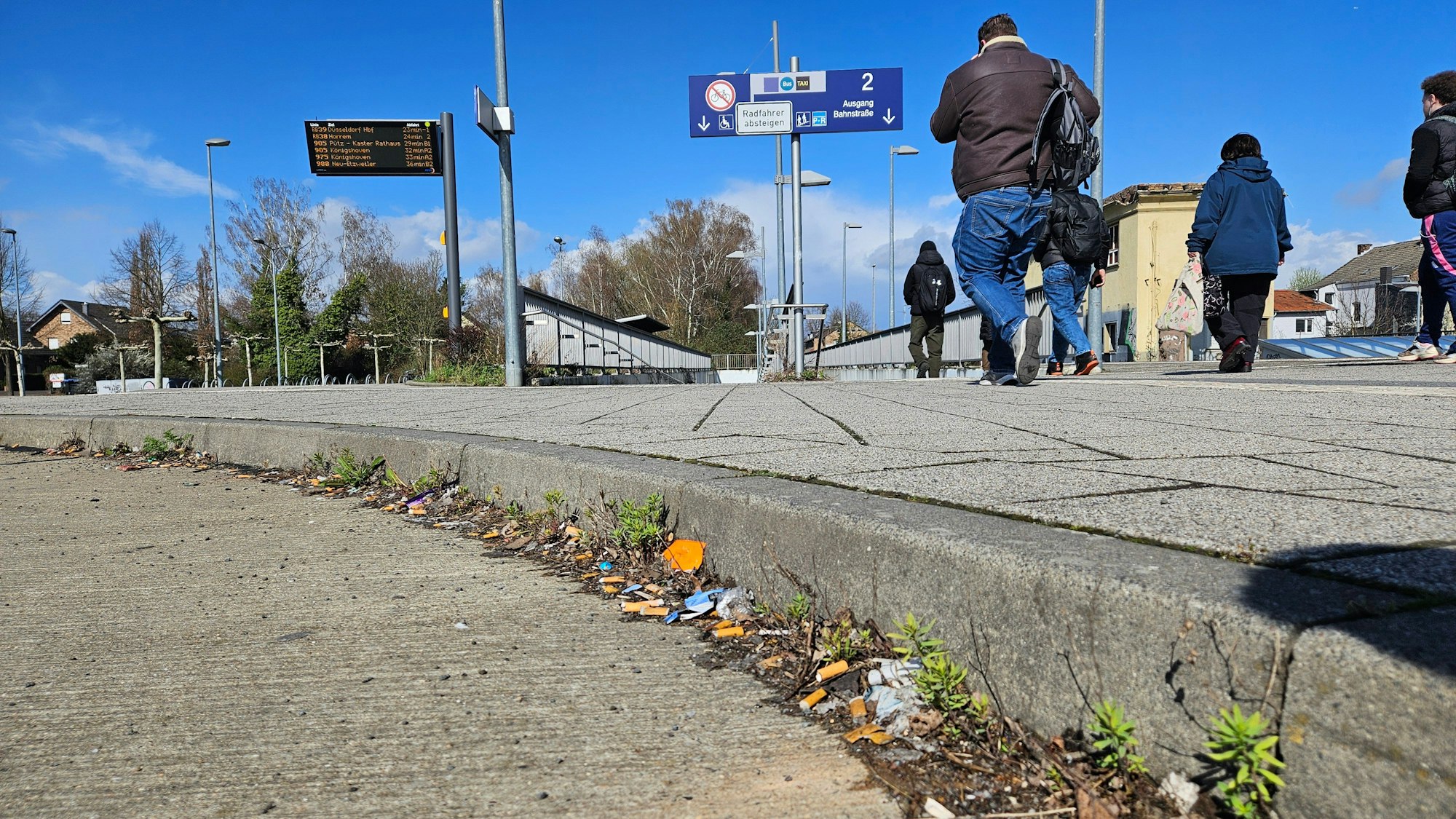 Zu sehen sind zahllose Zigarettenkippen neben einem Bordstein.