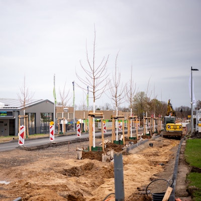 Entlang der aufgebaggerten Straße stehen Warnbaken und frisch gepflanzte Bäume.