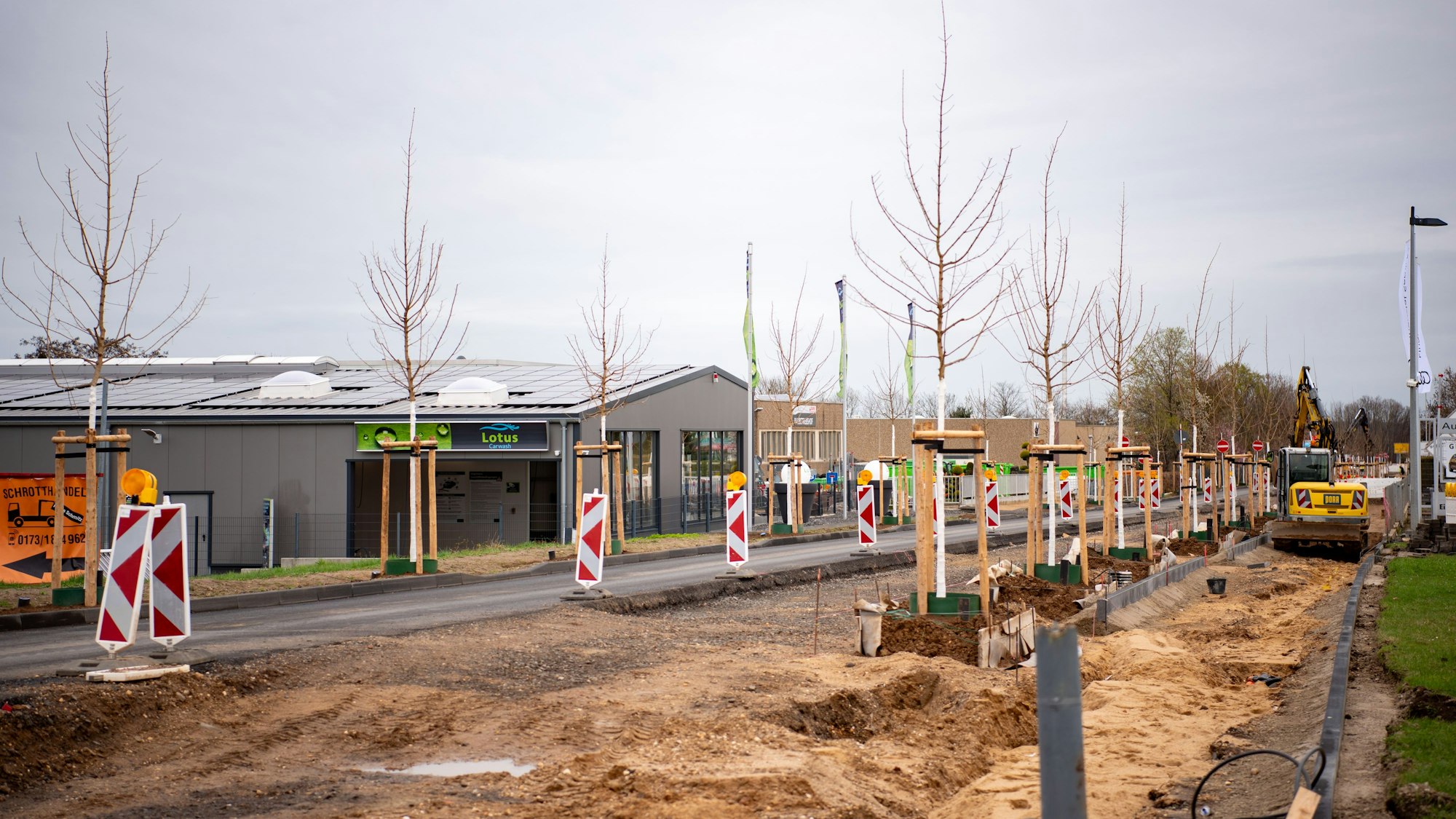 Entlang der aufgebaggerten Straße stehen Warnbaken und frisch gepflanzte Bäume.