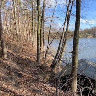 Zu sehen ist ein kleines Gewässer, umgeben von Wald.